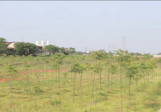 常寧水鬆地區重金屬汙染治理綠地效果圖