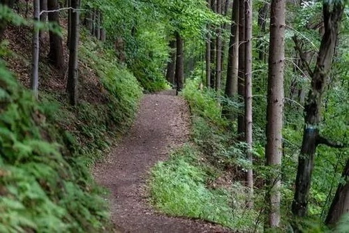 礦山草莓视频下载黄污熱點3