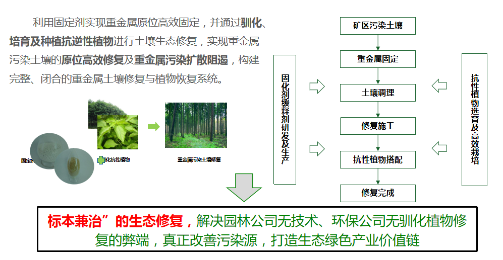 草莓视频下载黄污方案優勢