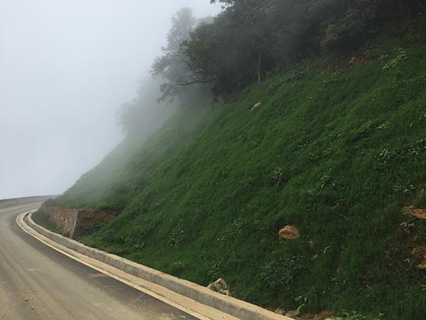 大熊山項目草莓视频下载黄污後2