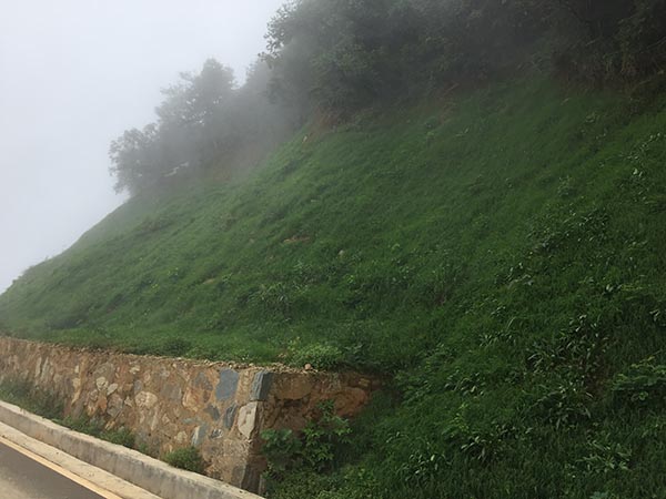 大熊山項目草莓视频下载黄污後1