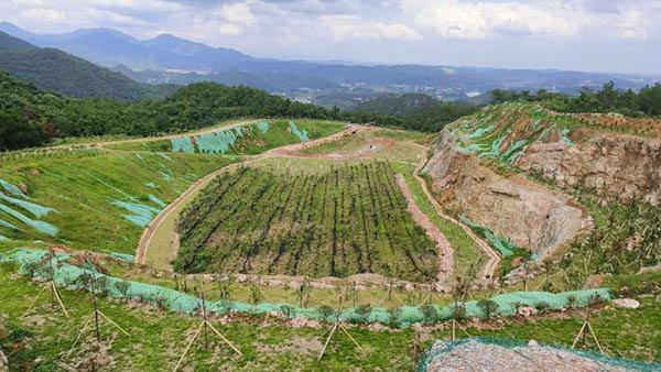 新邵縣三郎廟鉛鋅銻礦和鴻發采石場綜合治理與生態草莓视频下载黄污工程項目（EPC）總承包